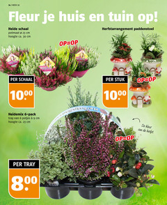 6 9 23 30 34 1000 week fleur huis tuin heide schaal potmaat cm hoogte ca. paddenstoel pack tray potjes 00 stuk kleur herfst 
