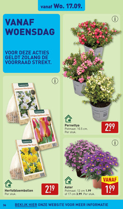  bloembollen 8 12 15 17 36 219 woensdag mucronata gardenline anemonen white splendour pane tulpen elite narcissen herfstbloembollen stuk pernettya potmaat cm gaultheria plant passport 3.99 bekijk 