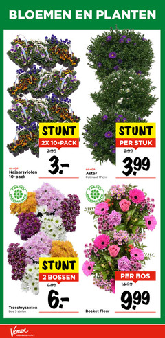  chrysanten boeket 2 5 10 17 bloemen planten najaarsviolen pack dagen 2x potmaat cm stuk 3.99 troschrysanten bos stelen bossen fleur 