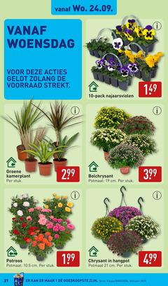  1 10 19 27 woensdag groene kamerplant stuk potroos potmaat cm pack najaarsviolen bolchrysant am recycled recyclable chrysant hangpot kassa 