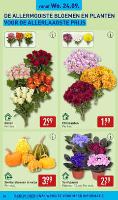  chrysanten rozen 12 28 allermooiste bloemen planten bos sierkalebassen netje stuk potmaat cm bekijk 