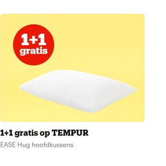  1 hoofdkussens 