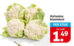  bloemkool hollandse stuk 