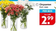  chrysanten vaas bos 3.99 