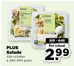  salade italiaanse stijl caesar schalen beter schaal 