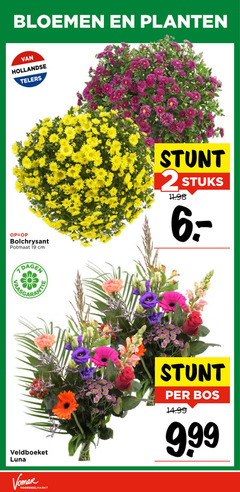  boeket 2 19 bloemen planten hollandse telers bolchrysant potmaat cm dagen veldboeket luna stuks bos 9 99 