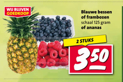  ananas frambozen blauwe bessen 2 schaal stuks 
