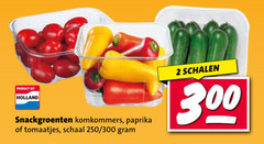  2 300 holland snackgroenten komkommers paprika tomaatjes schaal 250 schalen 