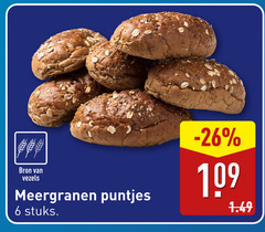  6 vezels meergranen puntjes stuks 