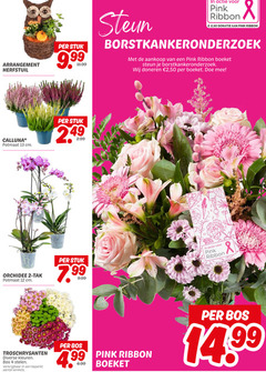  2 4 12 13 arrangement stuk 9 steun pink ribbon 50 donatie boeket doneren calluna potmaat cm orchidee tak troschrysanten kleuren bos stelen beperkt winkels 14 99 