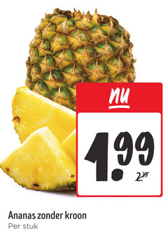  ananas kroon stuk 