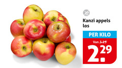  kanzi appels kilo 