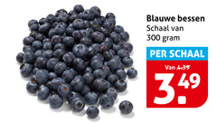  blauwe bessen 300 schaal 