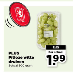  500 pitloze witte druiven schaal 