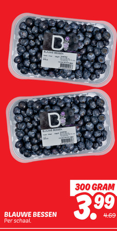  blauwe bessen 300 b 300g schaal 3.99 