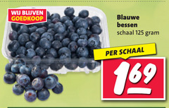  blauwe bessen schaal 