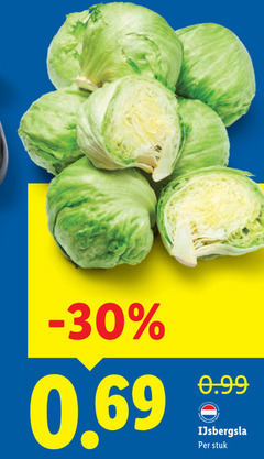  ijsbergsla stuk 
