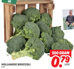  broccoli 500 deka hollandse 
