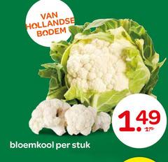  bloemkool hollandse bodem stuk 