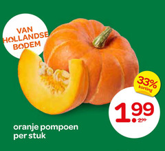  pompoen 33 hollandse bodem oranje stuk 
