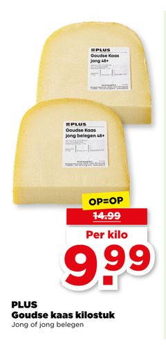  kaas goudse jong 48 belegen kilo 
