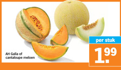  galia cantaloupe meloen stuk 