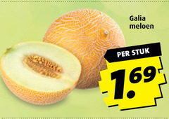  galia meloen stuk 