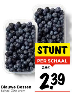  blauwe bessen 300 schaal 