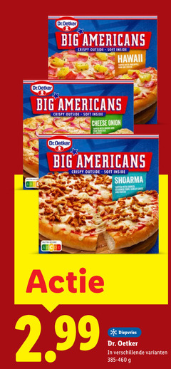  dr oetker diepvriespizza dr.oetker big americans crispy outside soft inside hawaii topped with pineapple cheese onion onions and shoarma cooked co seasoned garlic sauce nutri score diepvries dr. 