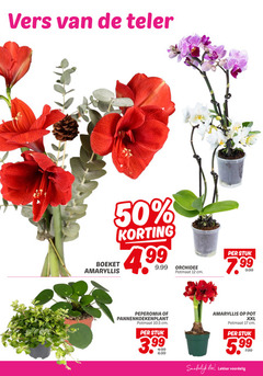 klik op dit plaatje voor een vergroting en voor vergelijkbare aanbiedingen gerelateerd aan
12 17 50 vers teler boeket amaryllis orchidee potmaat cm stuk peperomia 3.99 pot eten xxl 5 99 12 17 50 vers teler boeket amaryllis orchidee potmaat cm stuk peperomia 3.99 pot eten xxl 5 99