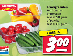  2 250 300 holland snackgroenten komkommer tomaten schaal paprika bakjes 