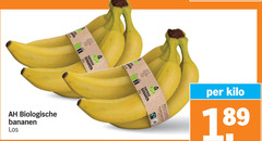  bananen biologische fairtrade sana kilo 