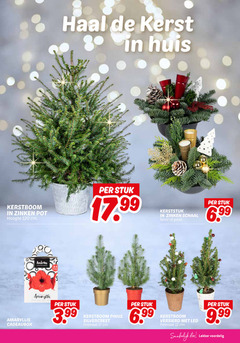  12 17 120 kerstboom zinken pot hoogte cm amaryllis cadeaubox kerst huis stuk kerststuk schaal rood goud 3.99 silvercrest potmaat versierd led eten 9 99 