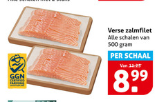  500 certified farming verse zalmfilet schalen schaal 