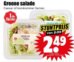  groene salade caesar komkommer farmer mix croutons caesardressing ijsbergsla basisprijs 