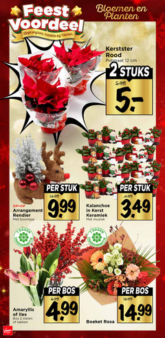  2 5 12 feest voordeel lage traditie bloemen planten arrangement rendier boompje dagen kerstster rood potmaat cm stuks stuk kalanchoe kerst keramiek muziek bos amaryllis stelen takken boeket rosa 