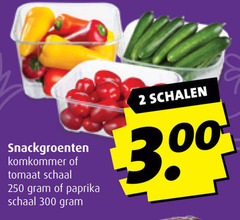  2 250 300 snackgroenten komkommer tomaat schaal paprika schalen 