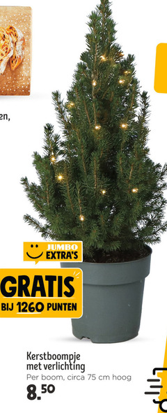  jumbo punten kerstboompje verlichting boom circa cm hoog 