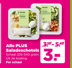  salade tomaat komkommer caesar saladeschotels schaal koeling 