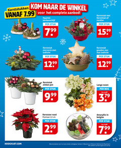  12 kerststukken kom aanbod hyacint stuk hoogvliet.com kerststuk kerstman rendier stervorm 99 gouden ster zinken pot lange rozen bos kerstster rood potmaat cm amaryllis red bolglas 7 bloemen planten winkels admiraal artikelen pagina 