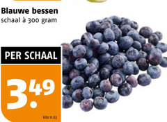  blauwe bessen 300 schaal kilo 