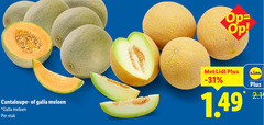  cantaloupe galia meloen stuk 