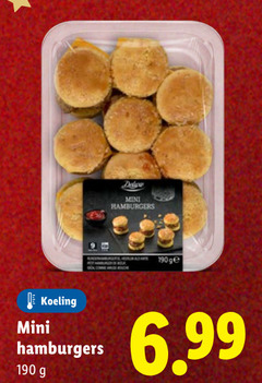  mini hamburgers ge koeling 