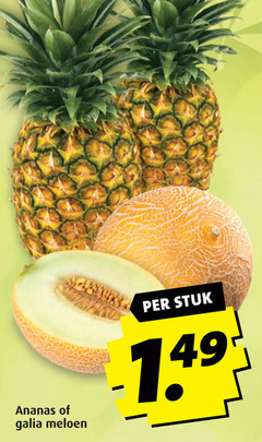  ananas meloen galia stuk 