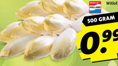  witlof 500 holland 