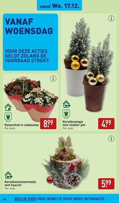  12 23 48 80 woensdag cm cadeautas stuk hyacint kerstboompje rendier pot bekijk 
