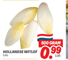  witlof 500 hollandse 