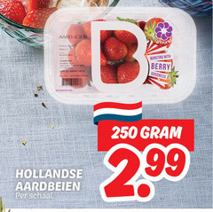  aardbeien 250 nederland verpakt hope with berry goodness hollandse schaal 2 99 