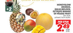  mango ananas passievrucht meloen 2 4 galia eetrijpe passie fruit stuk schaal stuks 