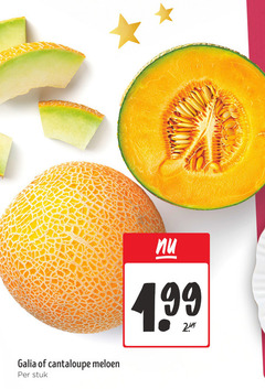  meloen galia cantaloupe stuk 